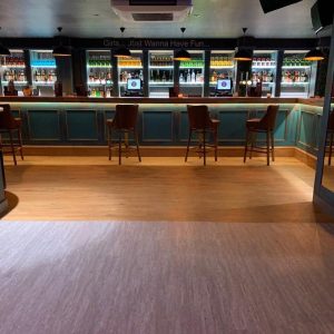 Introducing the Northern Monkey 1 Introducing the Northern Monkey